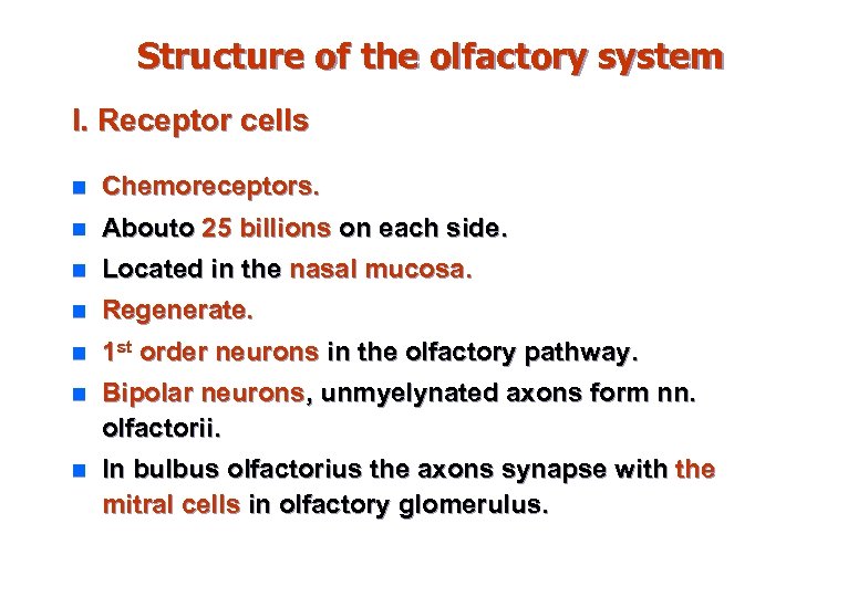 Structure of the olfactory system І. Receptor cells n Chemoreceptors. n Aboutо 25 billions