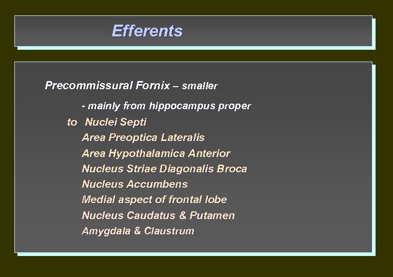 Efferents Precommissural Fornix – smaller - mainly from hippocampus proper to Nuclei Septi Area