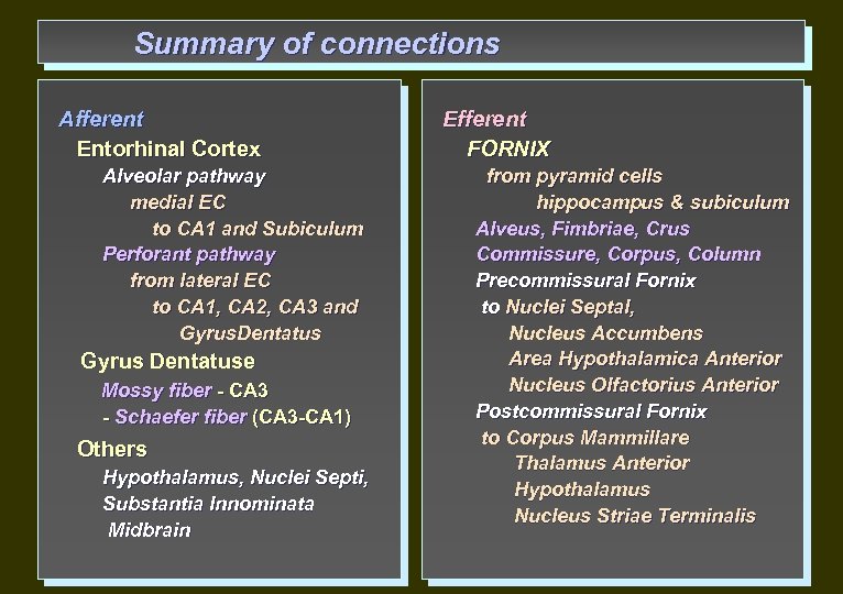 Summary of connections Afferent Entorhinal Cortex Alveolar pathway medial EC to CA 1 and