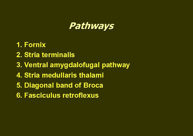 Pathways 1. Fornix 2. Stria terminalis 3. Ventral amygdalofugal pathway 4. Stria medullaris thalami