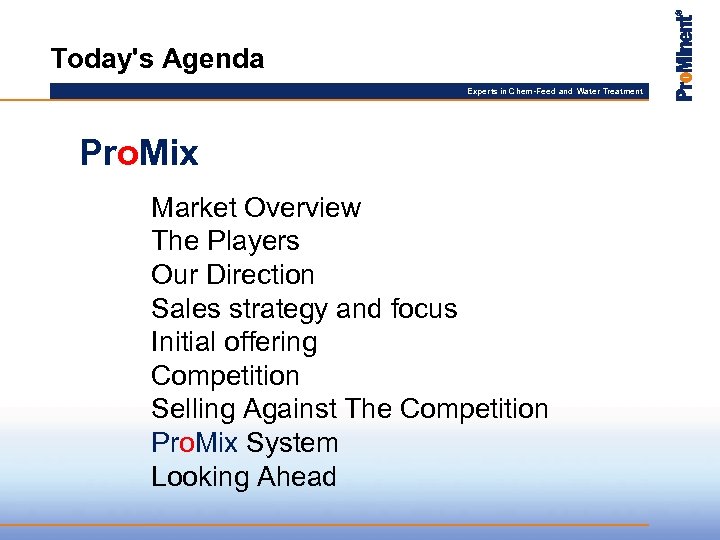 Today's Agenda Experts in Chem-Feed and Water Treatment Pro. Mix Market Overview The Players