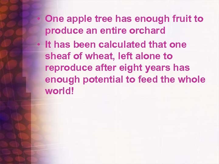  • One apple tree has enough fruit to produce an entire orchard •