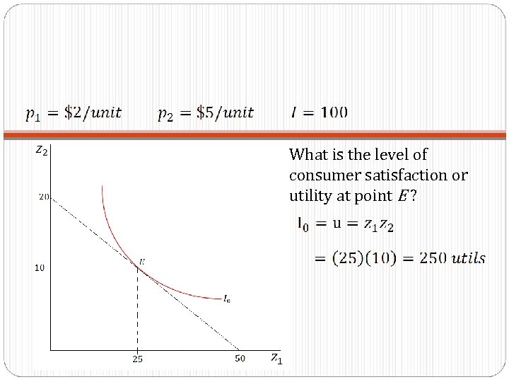 What is the level of consumer satisfaction or utility at point E ? 