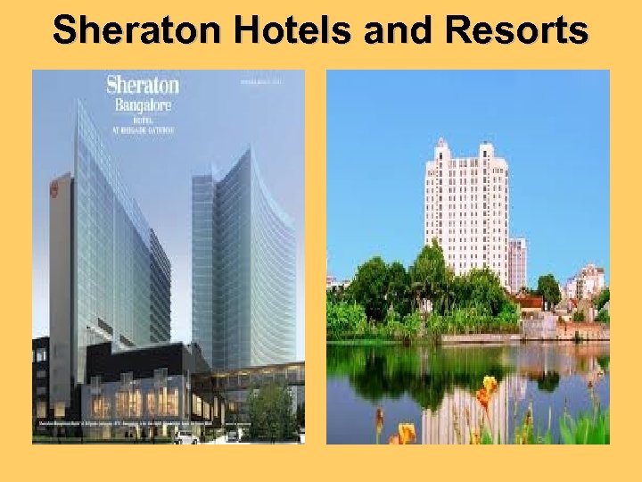 Sheraton Hotels and Resorts 