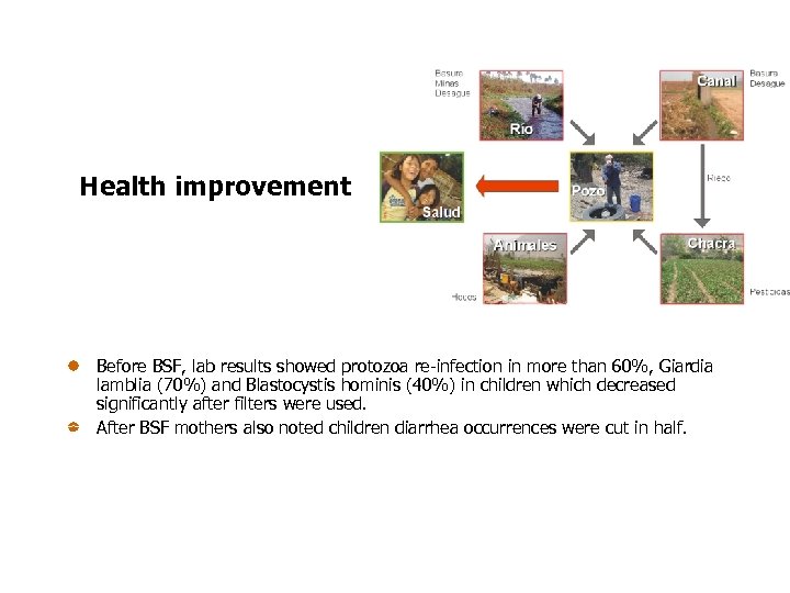 Health improvement Before BSF, lab results showed protozoa re-infection in more than 60%, Giardia