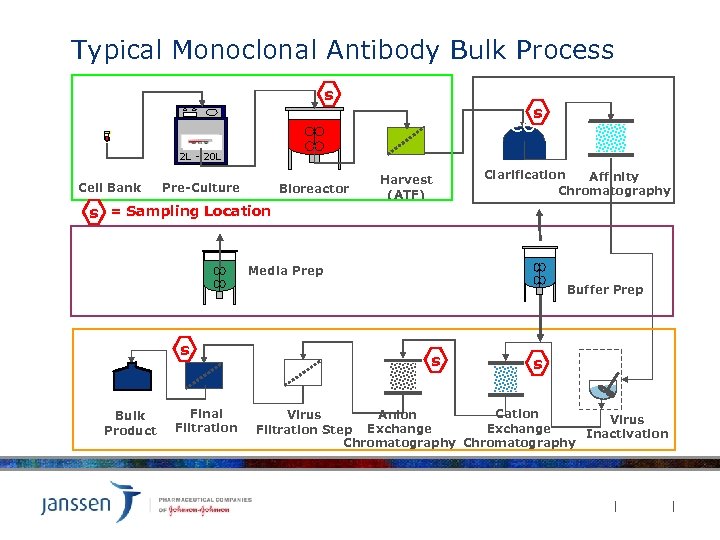 Typical Monoclonal Antibody Bulk Process s s Recovery 2 L - 20 L Cell