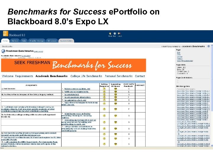 Benchmarks for Success e. Portfolio on Blackboard 8. 0’s Expo LX 