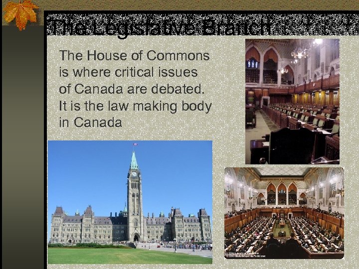 The Legislative Branch The House of Commons is where critical issues of Canada are