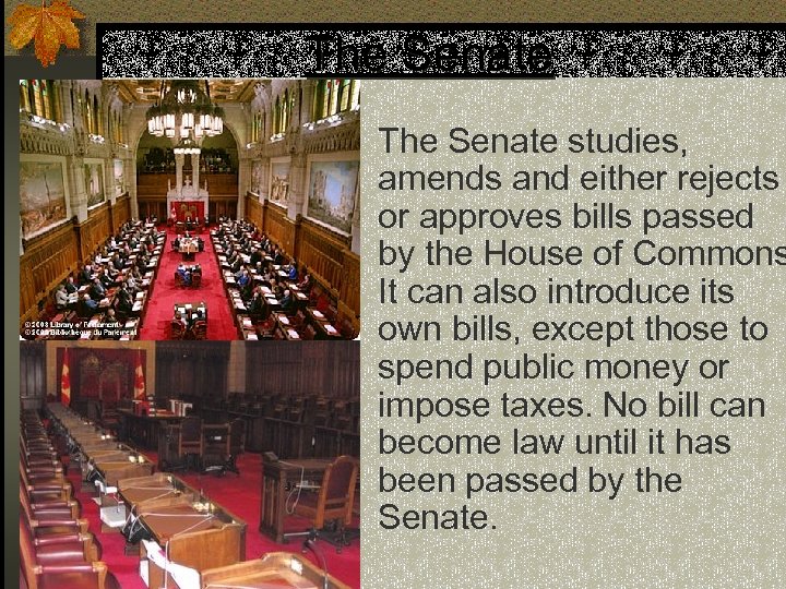 The Senate studies, amends and either rejects or approves bills passed by the House
