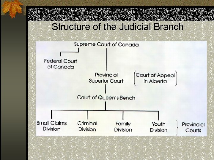Structure of the Judicial Branch 
