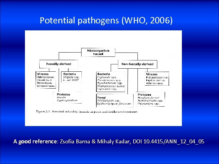 Potential pathogens (WHO, 2006) A good reference: Zsofia Barna & Mihaly Kadar, DOI 10.