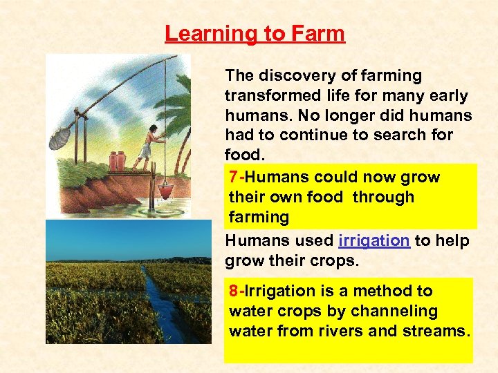 Learning to Farm The discovery of farming transformed life for many early humans. No