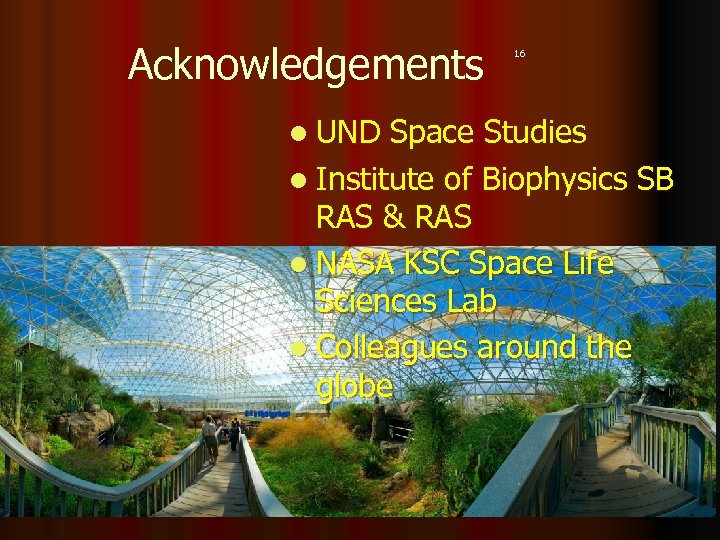 Acknowledgements l UND 16 Space Studies l Institute of Biophysics SB RAS & RAS
