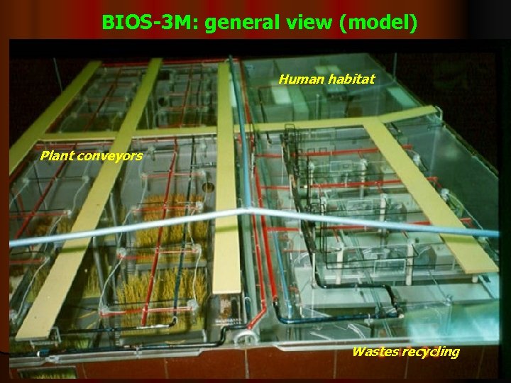 BIOS-3 M: general view (model) Human habitat Plant conveyors Wastes recycling 