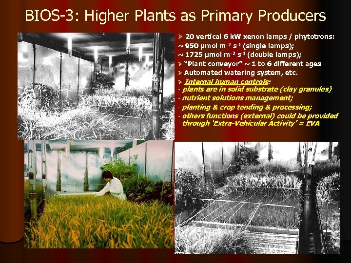 BIOS-3: Higher Plants as Primary Producers Ø 20 vertical 6 k. W xenon lamps