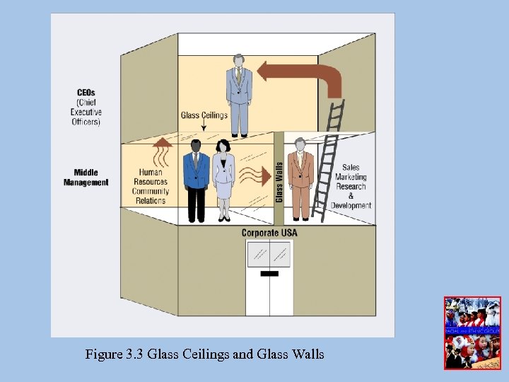 Figure 3. 3 Glass Ceilings and Glass Walls 