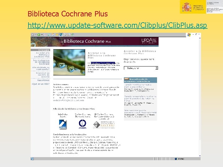 Biblioteca Cochrane Plus http: //www. update-software. com/Clibplus/Clib. Plus. asp 