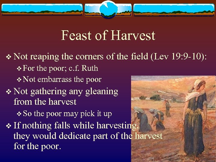 Feast of Harvest v Not reaping the corners of the field (Lev 19: 9