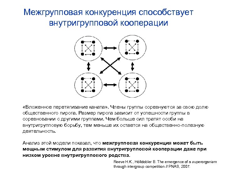Межгрупповая конкуренция способствует внутригрупповой кооперации «Вложенное перетягивание каната» . Члены группы соревнуются за свою