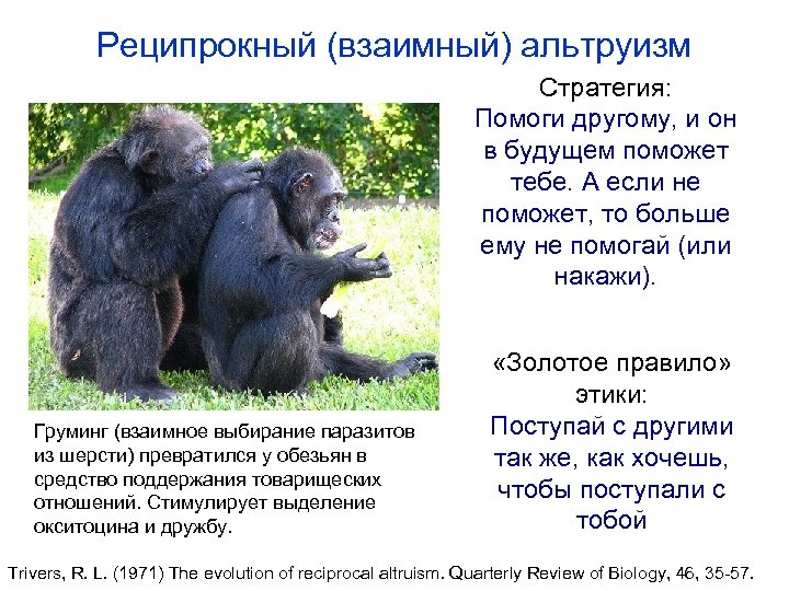 Реципрокный (взаимный) альтруизм Стратегия: Помоги другому, и он в будущем поможет тебе. А если