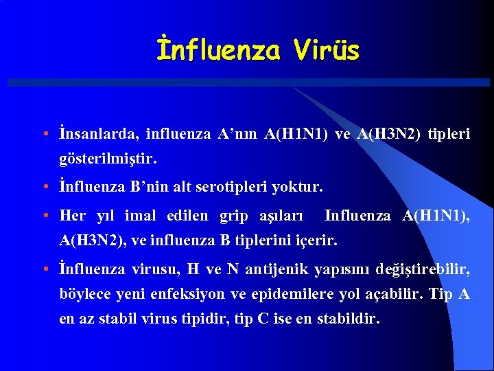 İnfluenza Virüs • İnsanlarda, influenza A’nın A(H 1 N 1) ve A(H 3 N