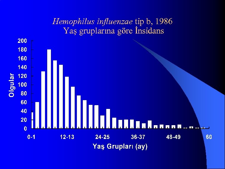 Hemophilus influenzae tip b, 1986 Yaş gruplarına göre İnsidans 