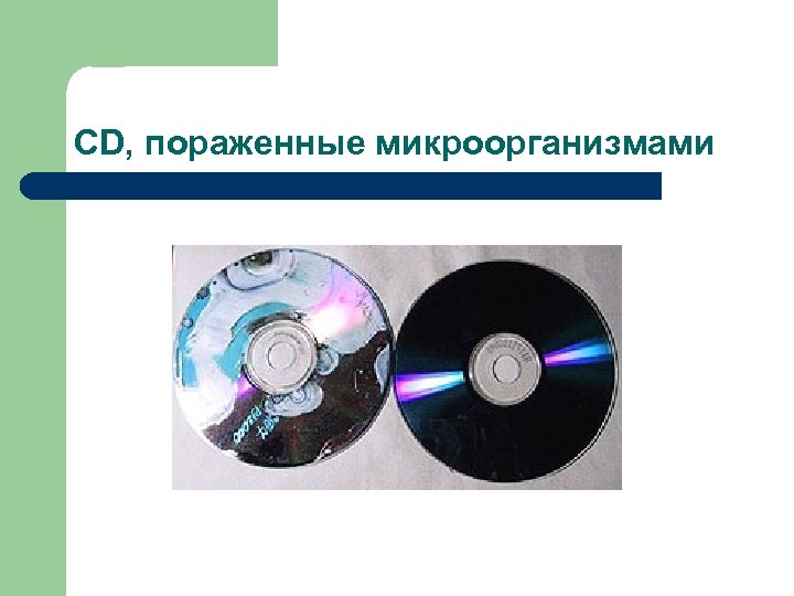 CD, пораженные микроорганизмами 