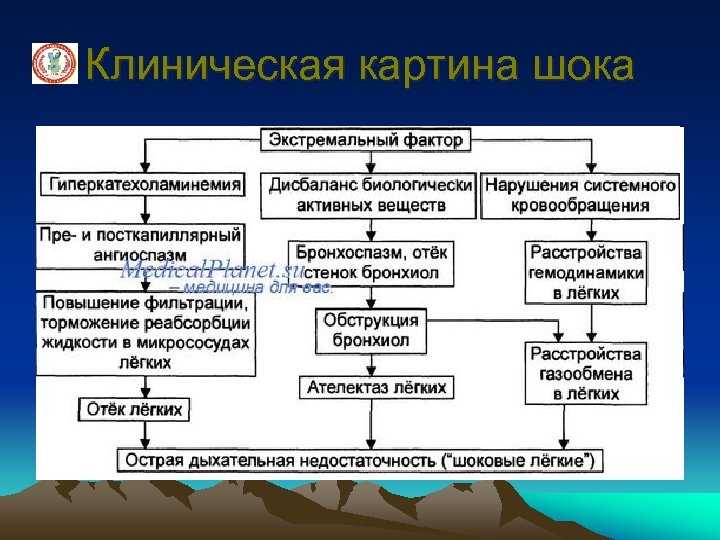 Клиническая картина шока 