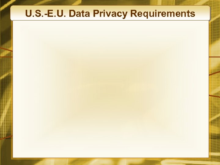 U. S. -E. U. Data Privacy Requirements 