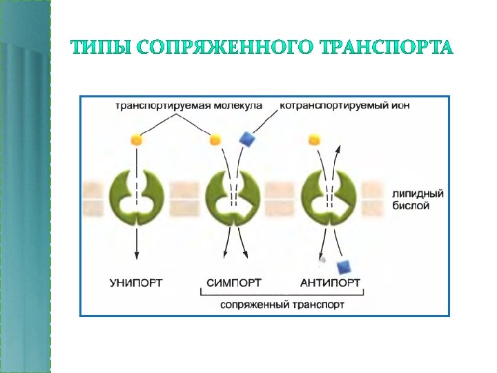 Что меньше молекулы