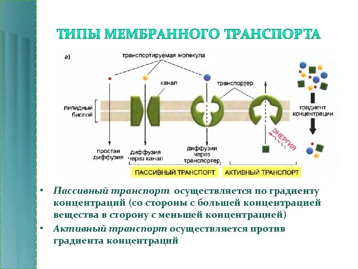 Правые и левые молекулы. Мембранный транспорт по градиенту концентрации. Мембранный транспорт пассивный активный облегченный. Мембранный транспорт схема. Сопряженный активный транспорт.