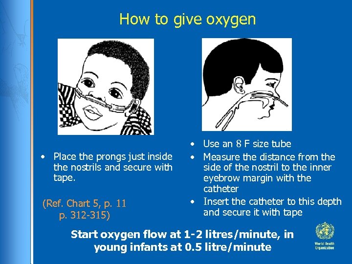 How to give oxygen • Place the prongs just inside the nostrils and secure