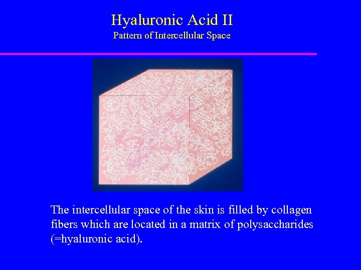 Hyaluronic Acid II Pattern of Intercellular Space The intercellular space of the skin is