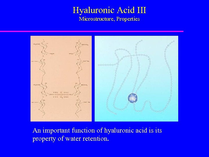 Hyaluronic Acid III Microstructure, Properties An important function of hyaluronic acid is its property