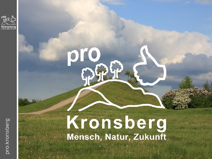 pro. kronsberg 