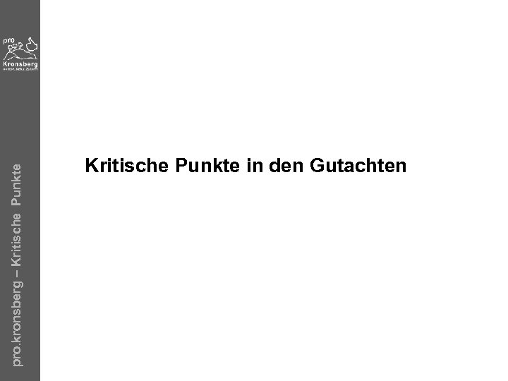 pro. kronsberg – Kritische Punkte in den Gutachten 