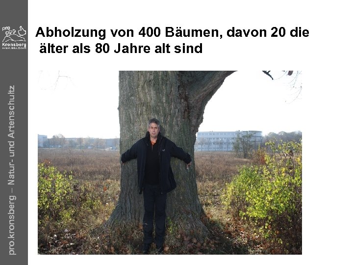 pro. kronsberg – Natur- und Artenschultz Abholzung von 400 Bäumen, davon 20 die älter