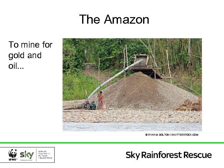 The Amazon To mine for gold and oil. . . © RYAN M. BOLTON