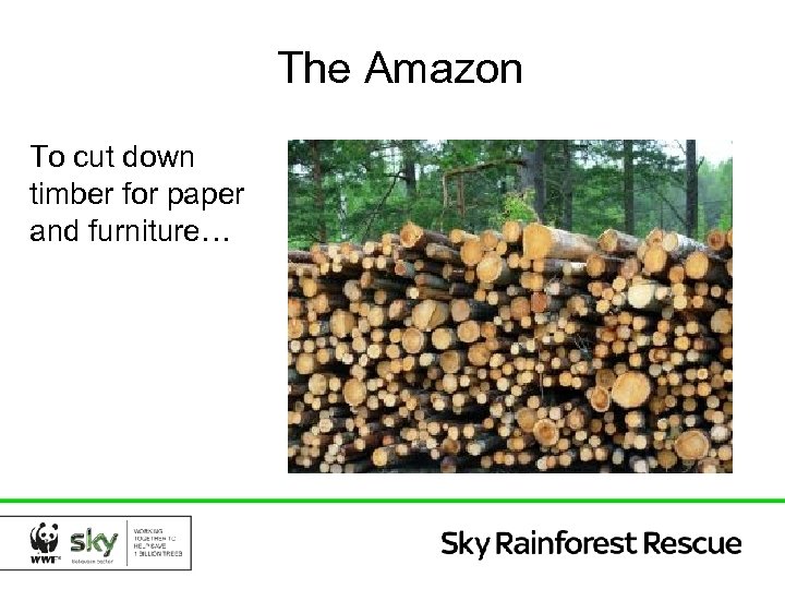 The Amazon To cut down timber for paper and furniture… 