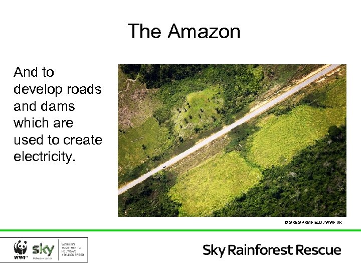 The Amazon And to develop roads and dams which are used to create electricity.