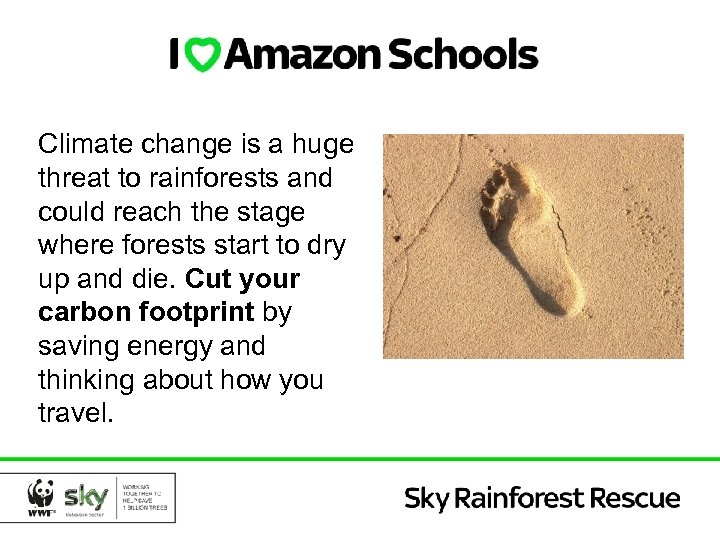 Climate change is a huge threat to rainforests and could reach the stage where