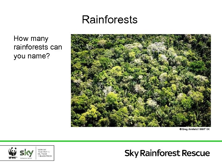 Rainforests How many rainforests can you name? © Greg Armfield / WWF UK 