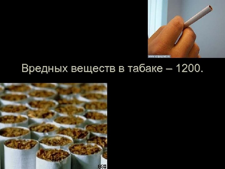 Вредных веществ в табаке – 1200. 