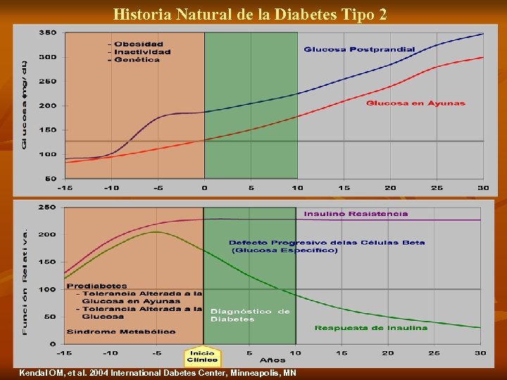 Historia Natural de la Diabetes Tipo 2 Kendal OM, et al. 2004 International Dabetes