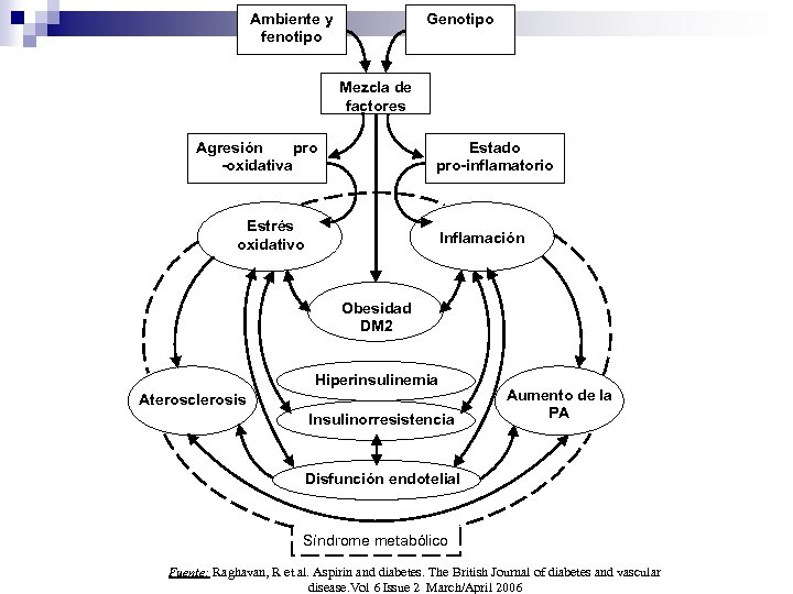 Ambiente y fenotipo Genotipo Mezcla de factores Agresión pro -oxidativa Estado pro-inflamatorio Estrés oxidativo