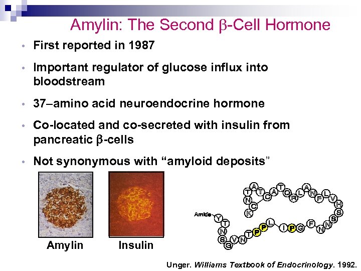 Amylin: The Second -Cell Hormone • First reported in 1987 • Important regulator of