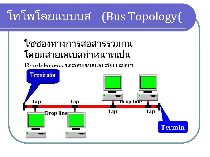 โทโพโลยแบบบส (Bus Topology( ใชชองทางการสอสารรวมกน โดยมสายเคเบลทำหนาทเปน Backbone หลกเพยงเสนเดยว Tap Drop line Tap Termin ator 
