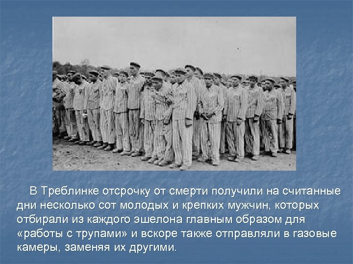  В Треблинке отсрочку от смерти получили на считанные дни несколько сот молодых и