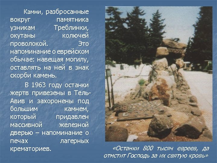  Камни, разбросанные вокруг памятника узникам Треблинки, окутаны колючей проволокой. Это напоминание о еврейском