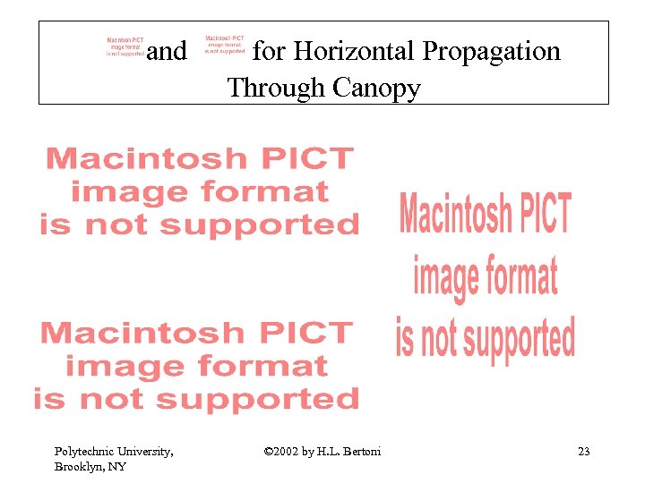 and Polytechnic University, Brooklyn, NY for Horizontal Propagation Through Canopy © 2002 by H.